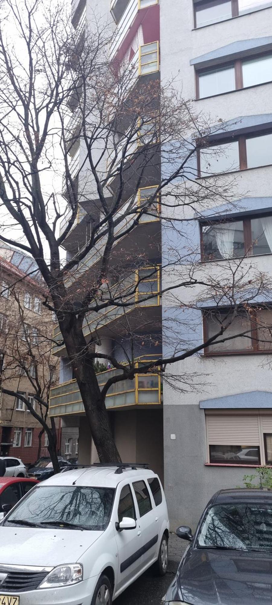 Huge Apartment Next To Train Station Close To The City Center Bratislava Luaran gambar